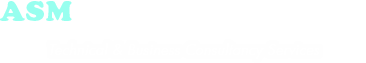 ASM CONSULT US LTD